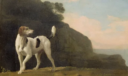 Un Foxhound, vers 1760